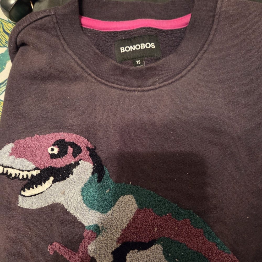 Bonobos Kids Sweatshirt with Dinosaur Graphic - Dark Purple